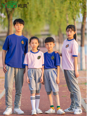 屹奧網(wǎng)站2019小、初、高新款夏季校服套裝